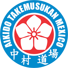 Aikido Takemusukan