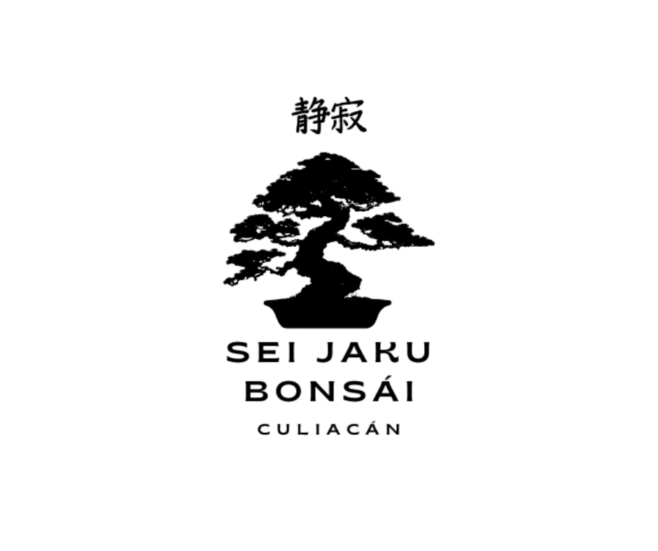 Sei Jaku Bonsái Culiacán